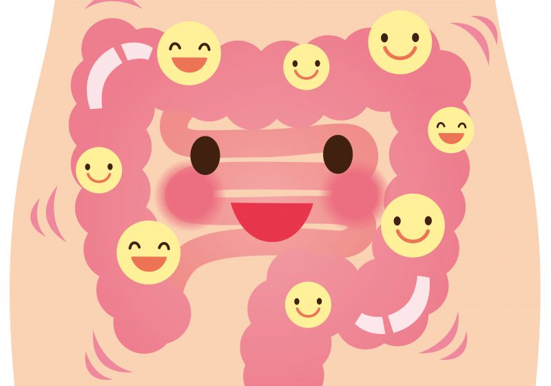 楽しく乳酸菌を学びましょう♪