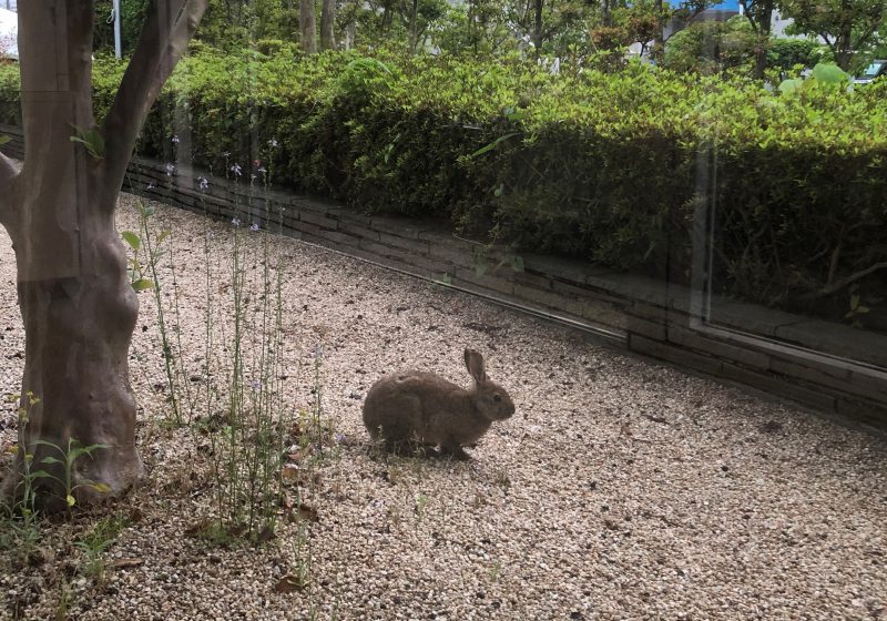 最近あった心がほっこりした話~社内ver~