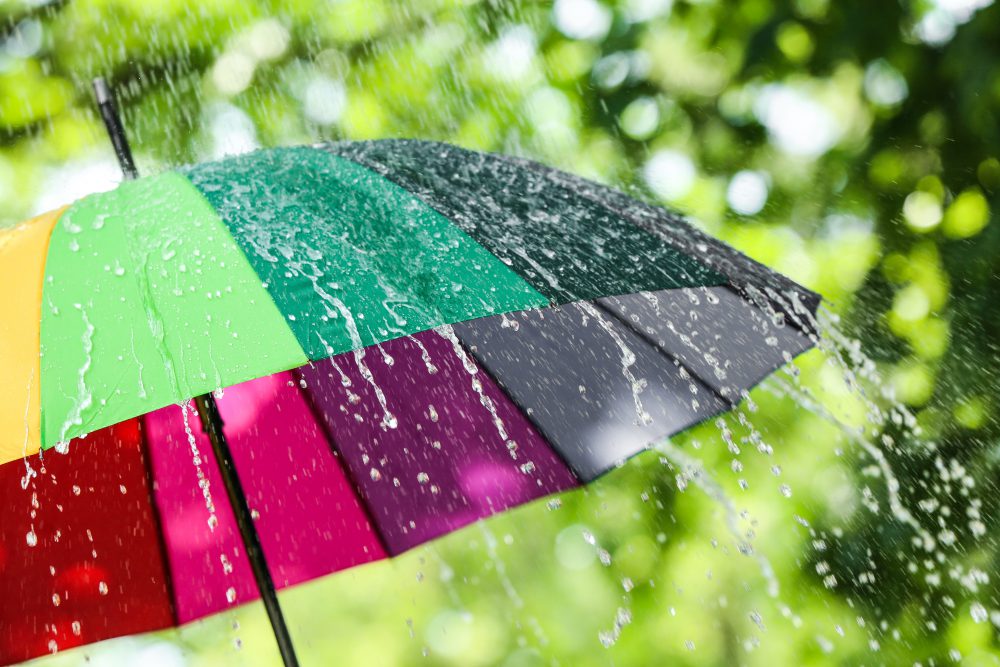 簡単！傘の撥水効果を復活させる方法！