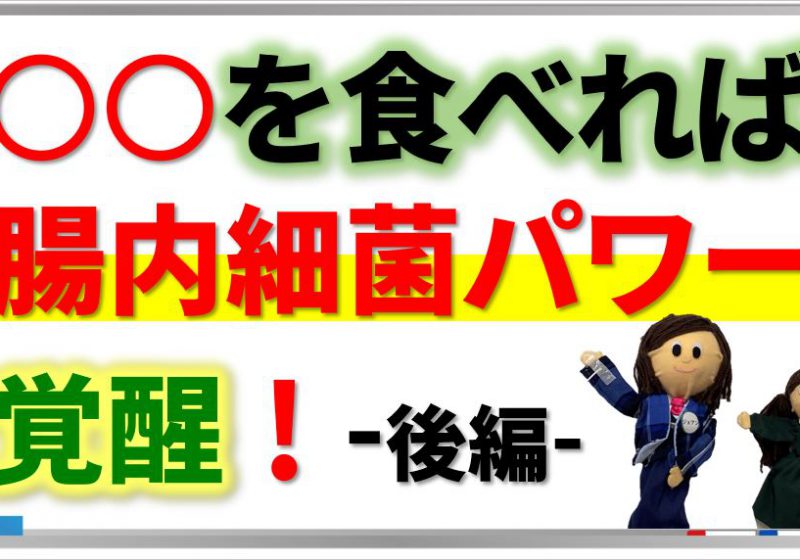 腸内細菌パワー覚醒!?後編です☆