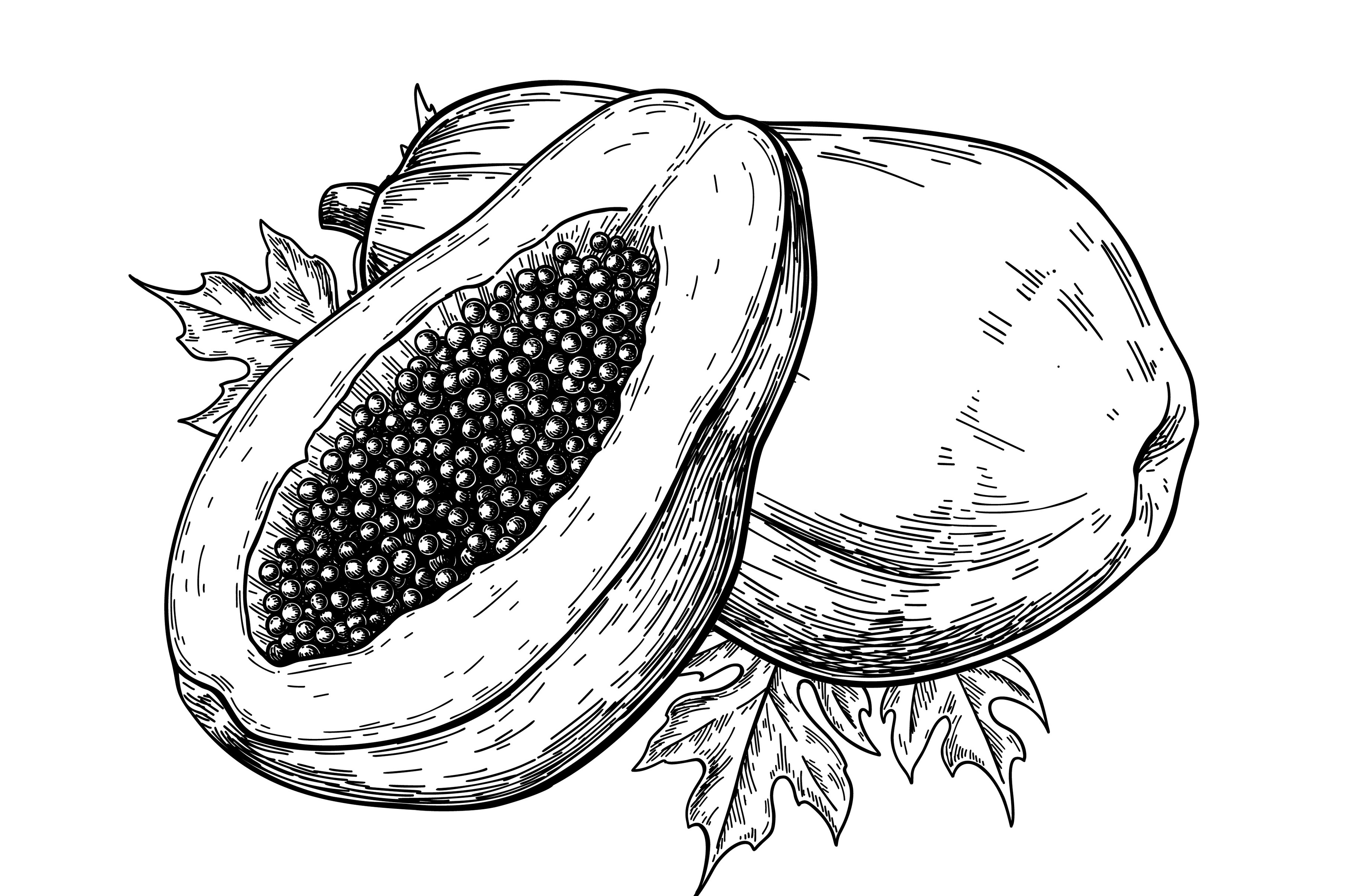 効率的な栄養補給ができる 青パパイヤの正体とは トピックス 水戸ヤクルト販売株式会社