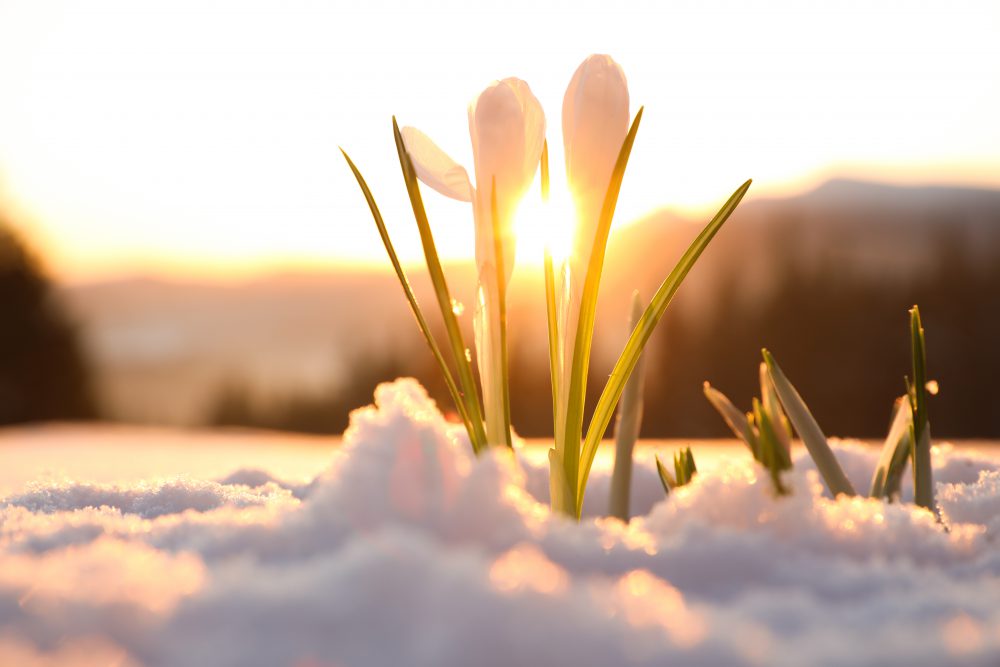 水戸ヤクルトの雪景色⛄待ち遠しい春